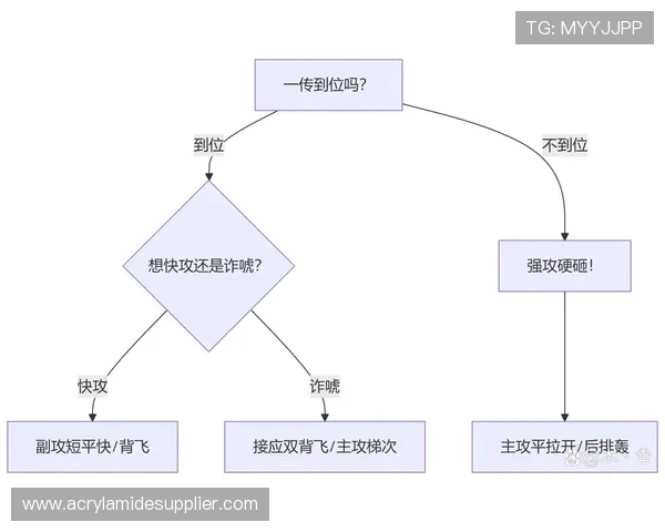 南京排球队在挑战赛中的战术表现分析与点评探讨