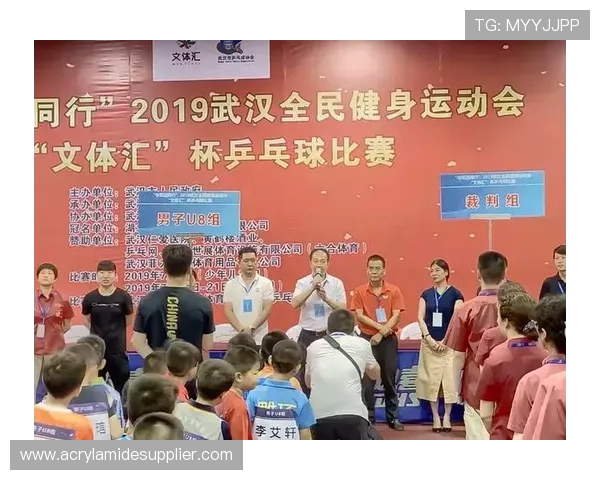 武汉乒乓球队个人能力分析与发展策略探讨