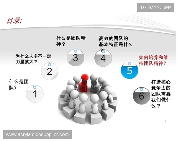 武汉羽毛球队团队协作表现的深度数据分析与研究探讨